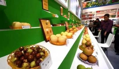 祁陽首屆油菜花節暨農副產品交易會邀您共賞春光，樂享田園盛宴