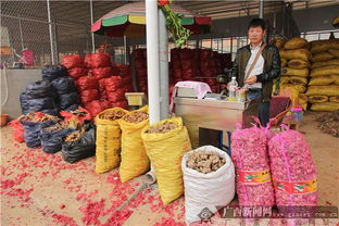 南寧市仁義農(nóng)副產(chǎn)品批發(fā)市場(chǎng)盛大開(kāi)業(yè) 助力區(qū)域“菜籃子”工程建設(shè)