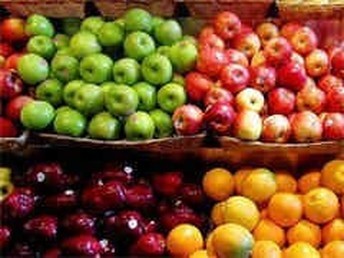 廣州飯?zhí)贸邪c蔬菜配送 專業(yè)農(nóng)副產(chǎn)品、水果與肉禽類配送服務(wù)